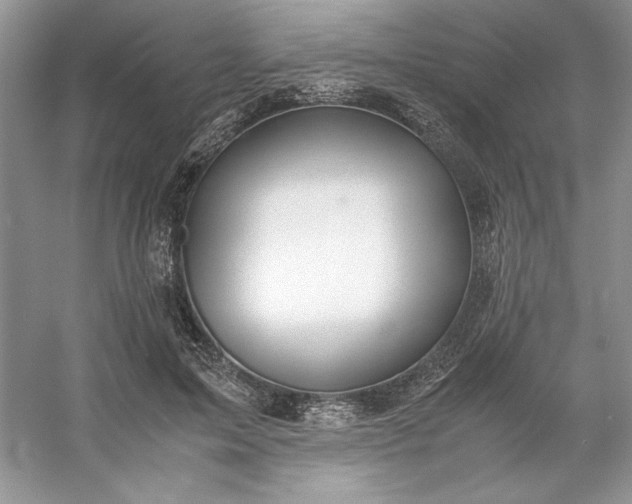 X0000053110599200507251659