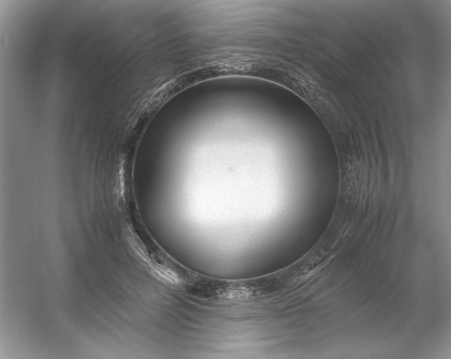 X0000053110600200507251659