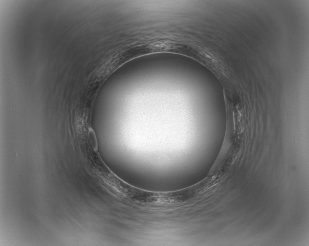 X0000053110601200507251659