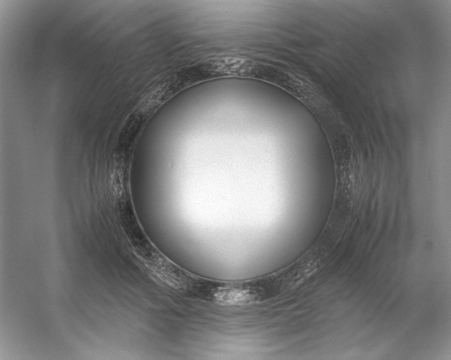 X0000053110602200507251659
