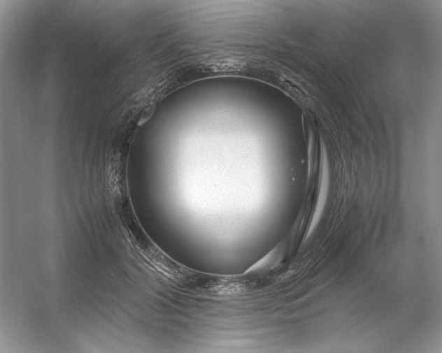 X0000053110604200507251659