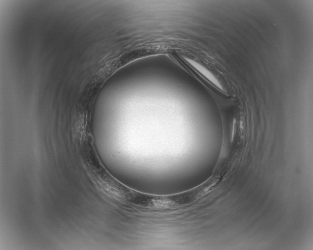 X0000053110605200507251659
