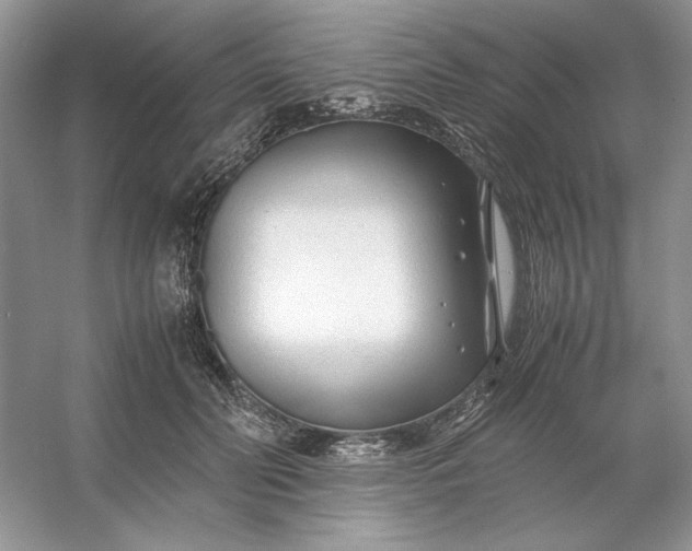 X0000053110606200507251659