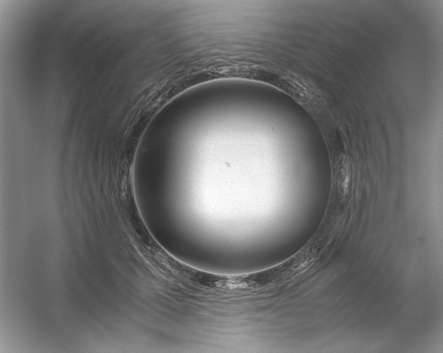 X0000053110607200507251659