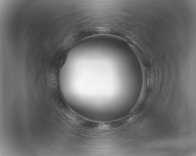 X0000053110609200507251659