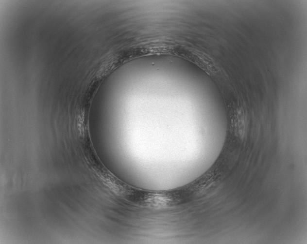 X0000053110610200507251659