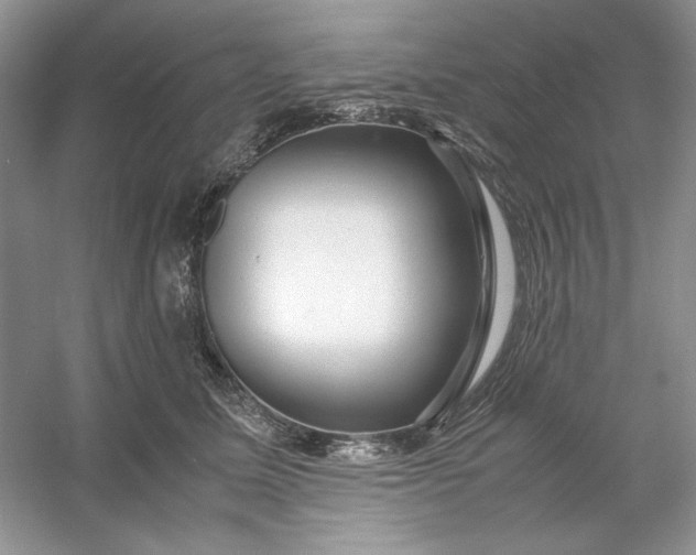 X0000053110611200507251659