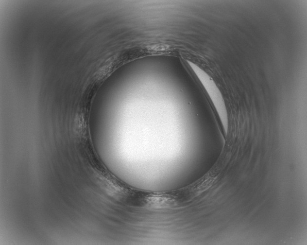 X0000053110614200507251659