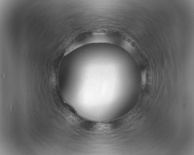 X0000053110617200507251658
