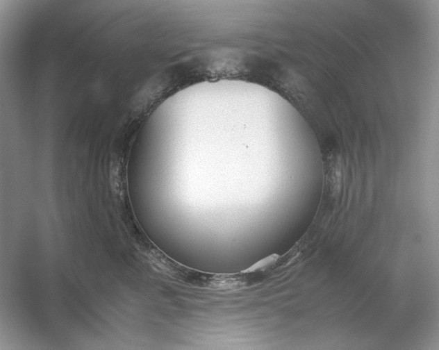 X0000053110619200507251658