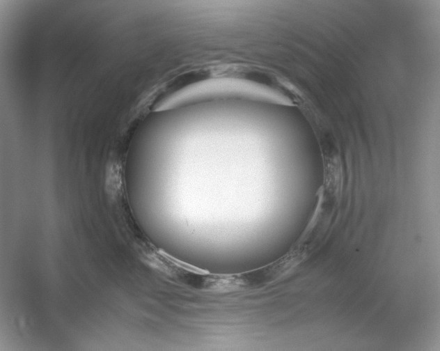 X0000053110621200507251658