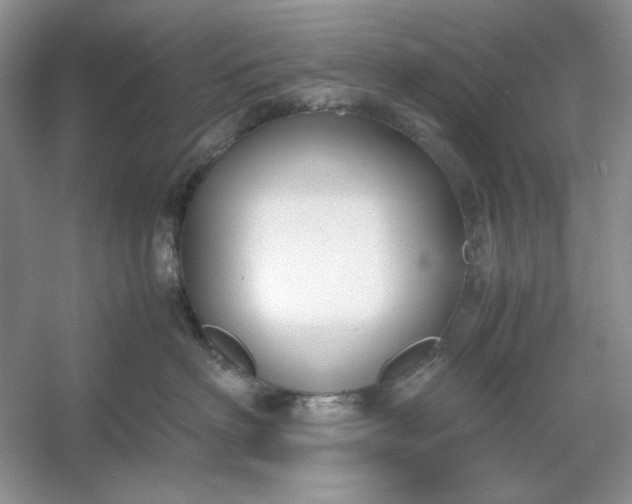 X0000053110622200507251658