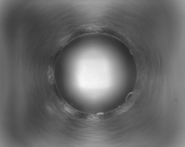 X0000053110624200507251658