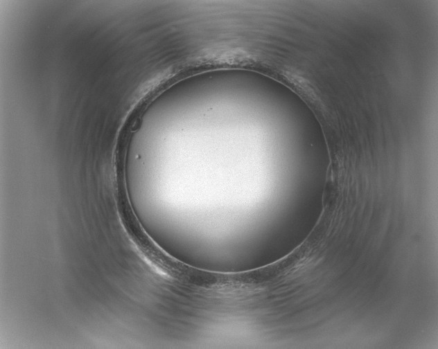 X0000053110630200507251658