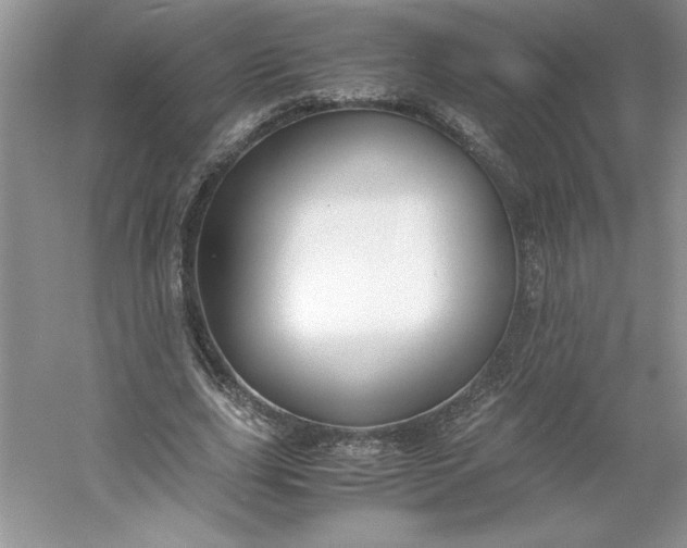 X0000053110631200507251658