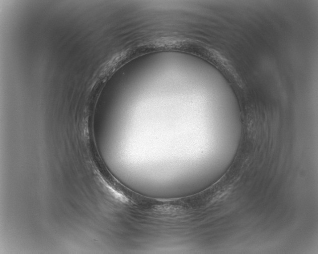 X0000053110633200507251658
