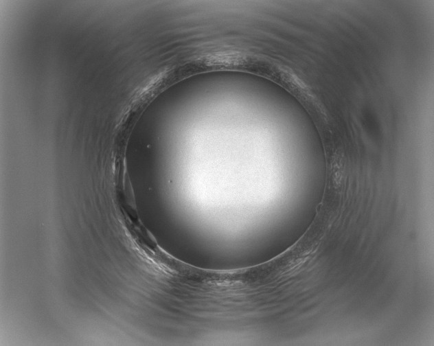 X0000053110637200507251658