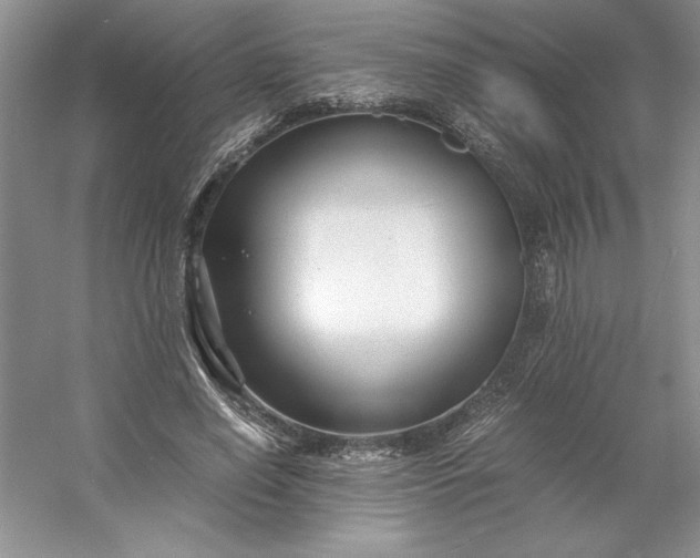X0000053110638200507251658