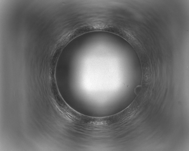 X0000053110639200507251658