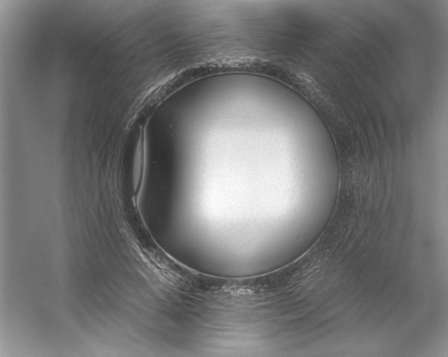 X0000053110640200507251658
