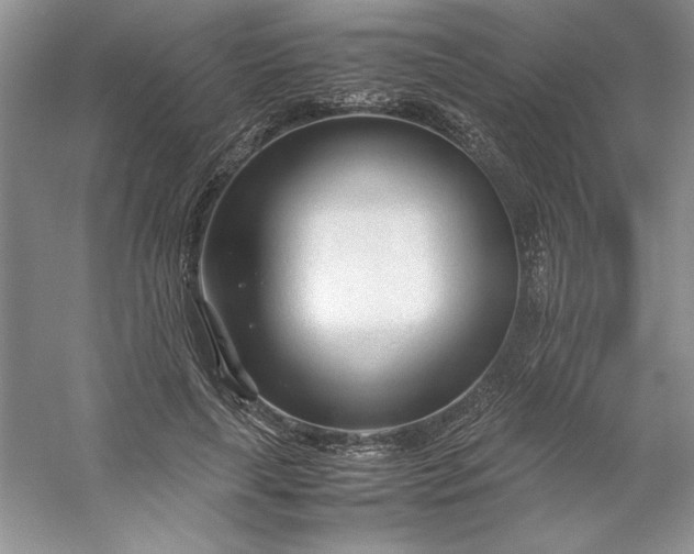X0000053110643200507251658