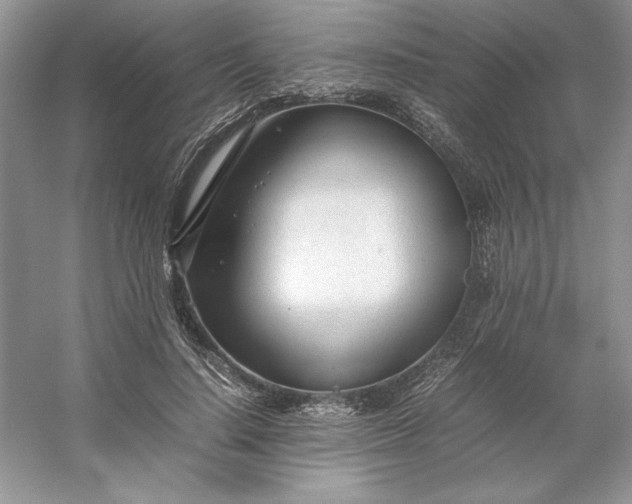 X0000053110644200507251658
