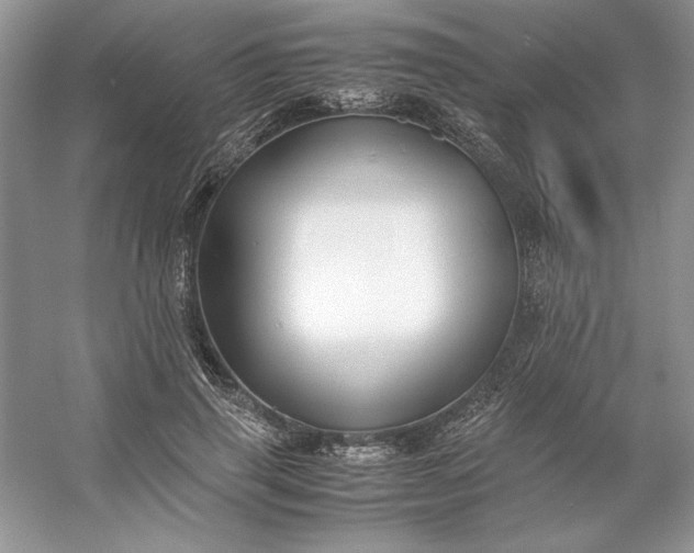 X0000053110645200507251658