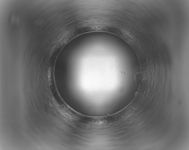 X0000053110646200507251658