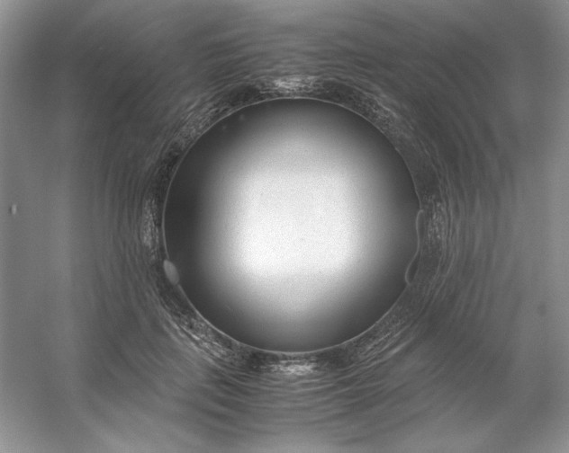 X0000053110651200507251658