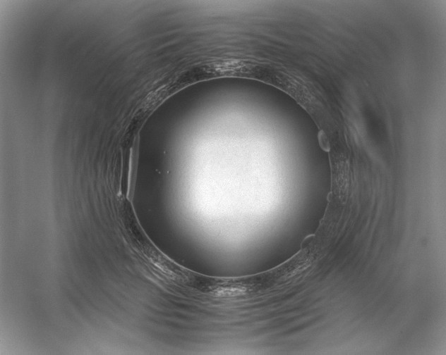 X0000053110653200507251658