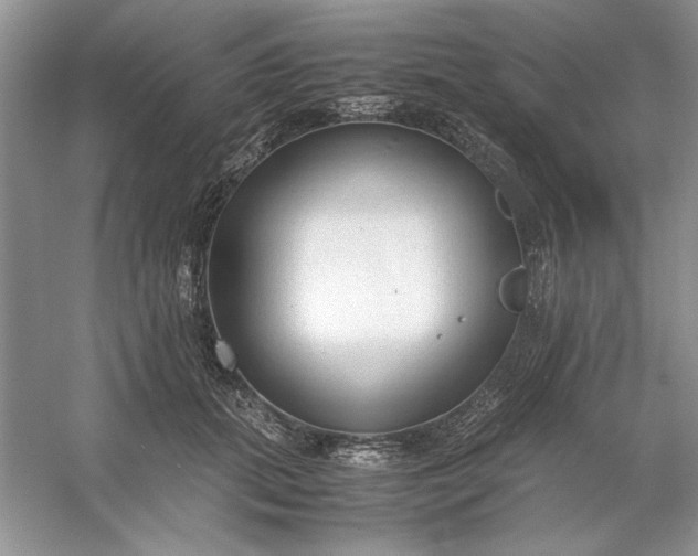 X0000053110655200507251658
