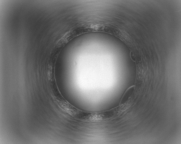 X0000053110656200507251658