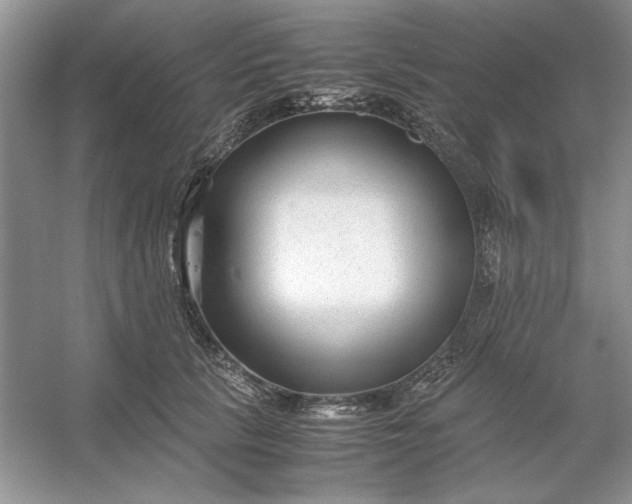X0000053110657200507251658