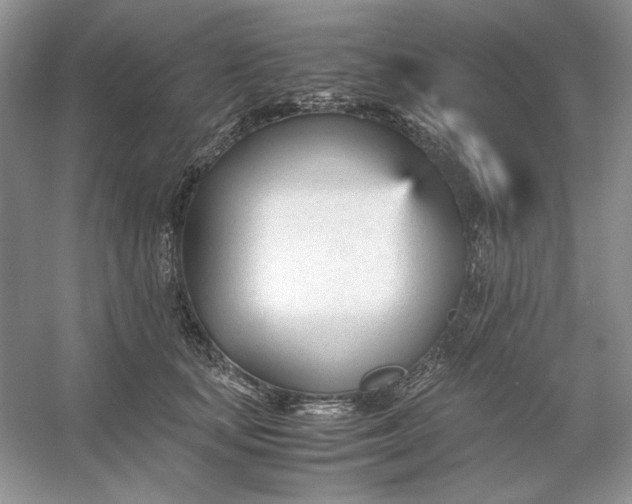 X0000053110659200507251658