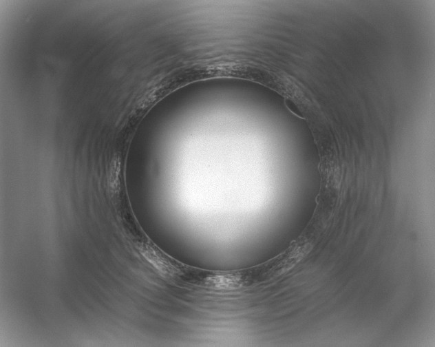 X0000053110660200507251658