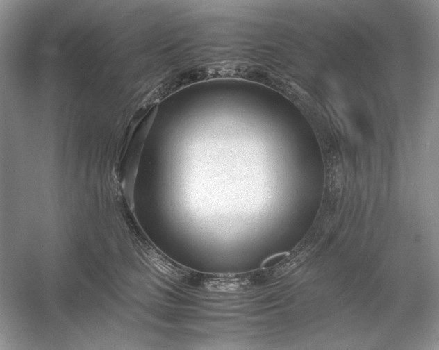 X0000053110661200507251658