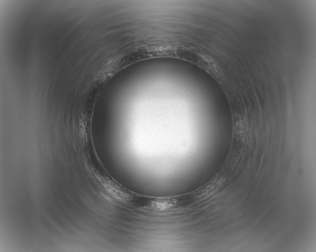 X0000053110662200507251658