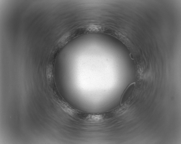 X0000053110665200507251658