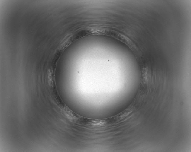 X0000053110667200507251658