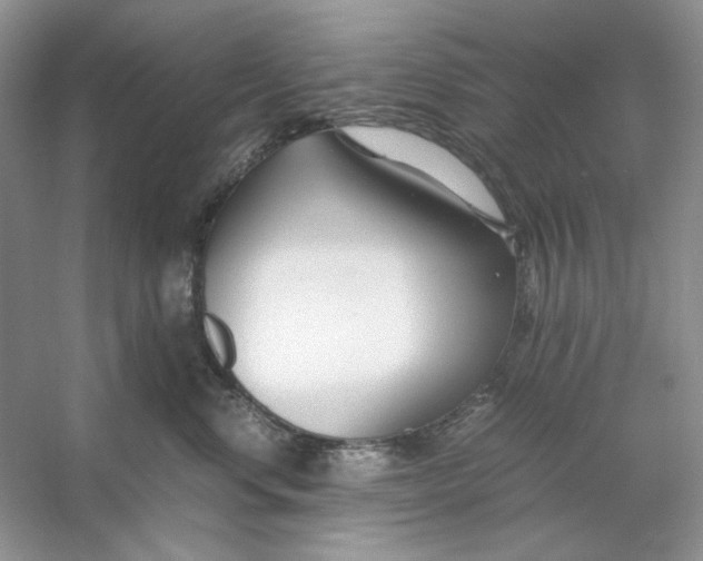 X0000053110668200507251658