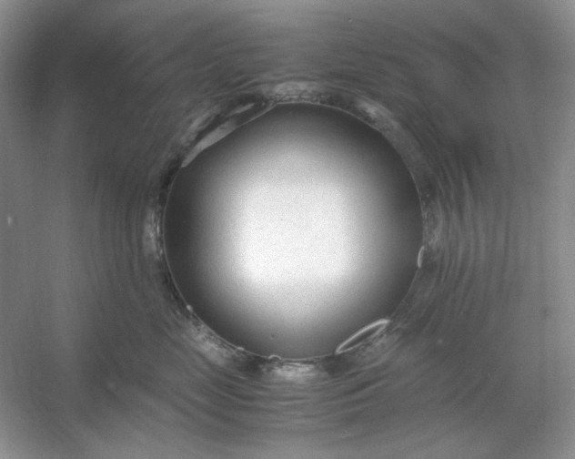 X0000053110669200507251658