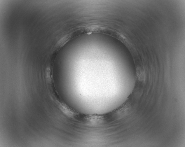 X0000053110670200507251658