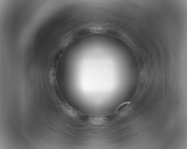 X0000053110671200507251658