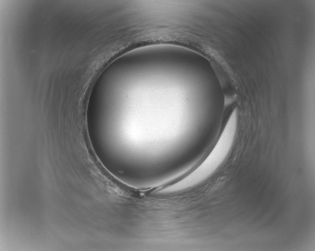 X0000053110673200507251658