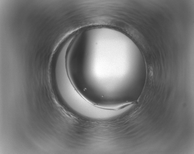 X0000053110676200507251657