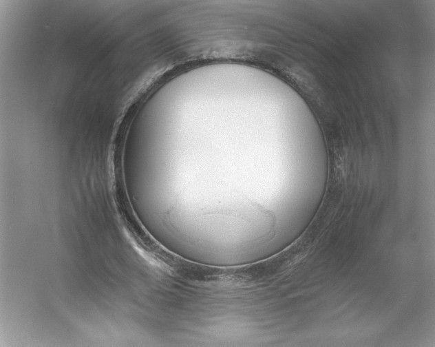 X0000053110678200507251657