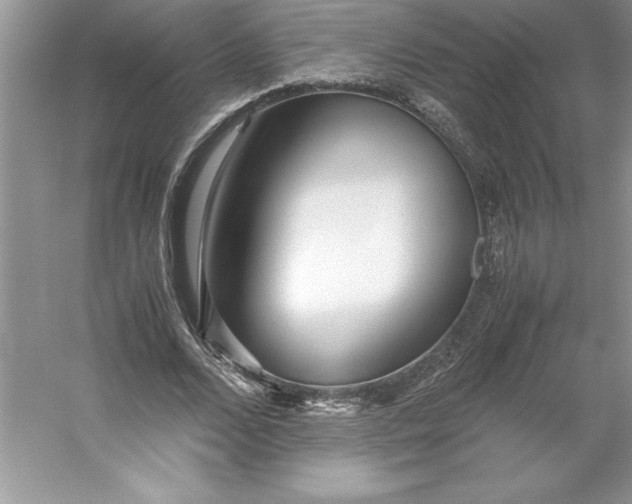 X0000053110680200507251657