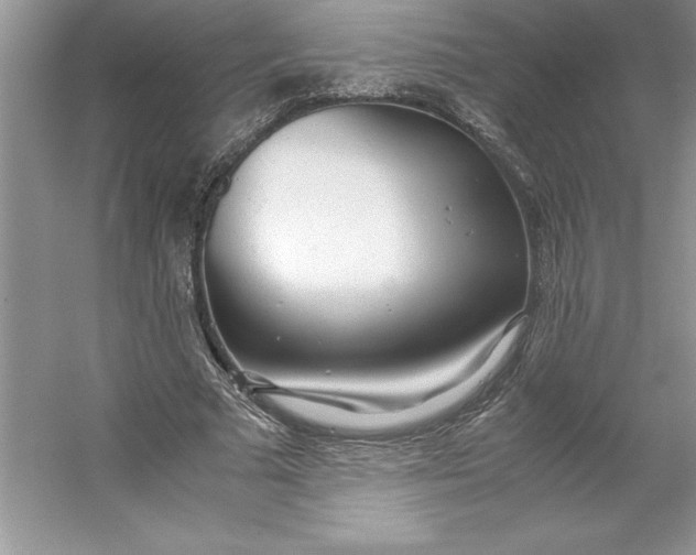 X0000053110681200507251657