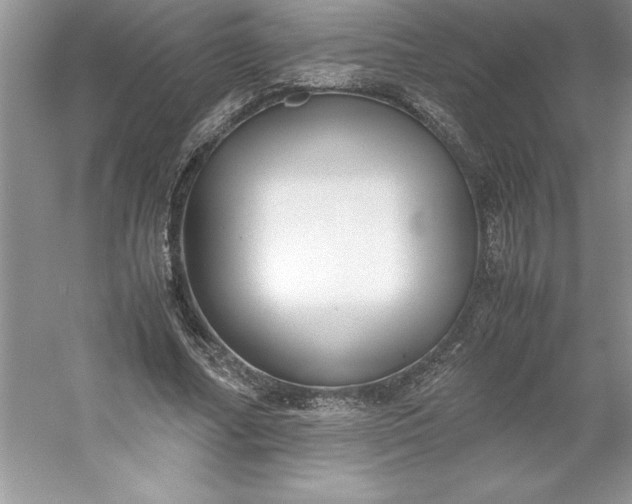 X0000053110682200507251657
