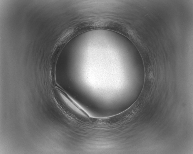 X0000053110685200507251657